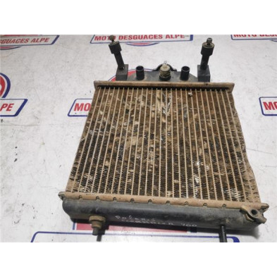 Radiador agua POLARIS SCRAMBLER 400