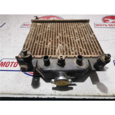 Radiador agua POLARIS SCRAMBLER 400