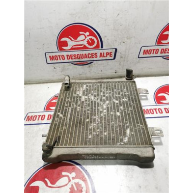 Radiador agua POLARIS sportsman 500