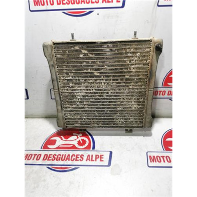 Radiador agua POLARIS sportsman 500