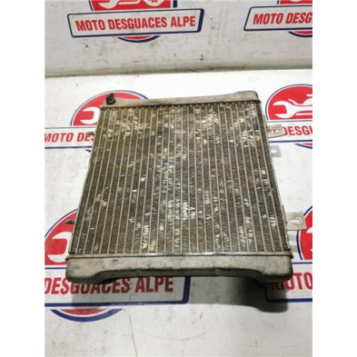 Radiador agua POLARIS sportsman 500