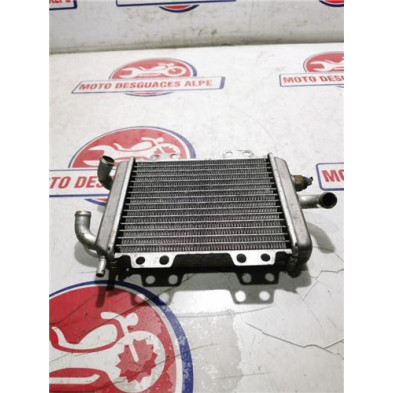 Radiador agua PEUGEOT elystar125