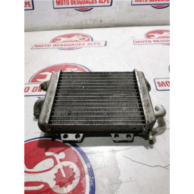Radiador agua PEUGEOT elystar125