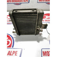 Radiador agua RIEJU RS2 50 MATRIX