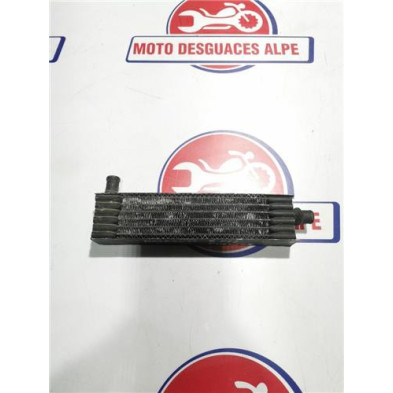 Radiador agua MALAGUTI phanton