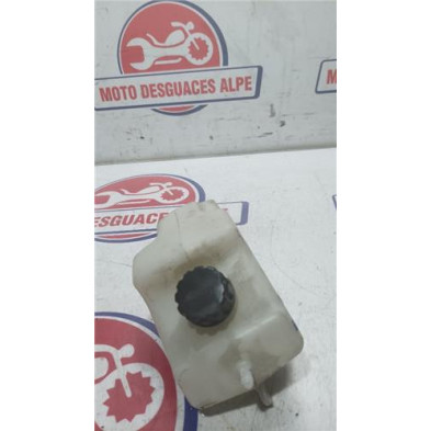 Deposito anticongelante KAWASAKI z 800