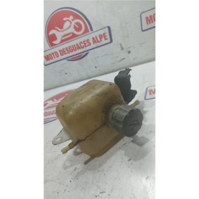 Deposito anticongelante PEUGEOT satelis12506