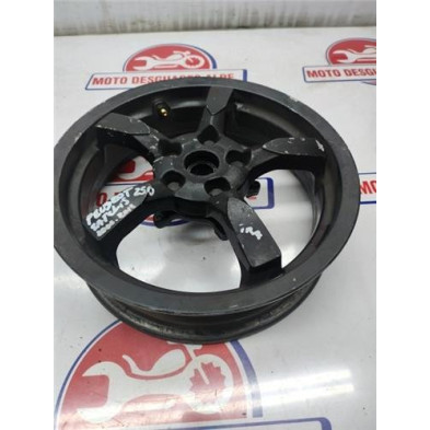 Rueda trasera PEUGEOT SATELIS 250 2006 - 2012