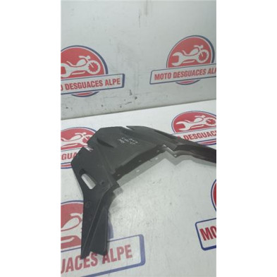 Embellecedor cupula BMW K1200 GT