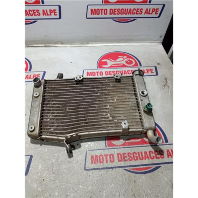 Radiador de agua Suzuki LTZ 400 - Recambios de alta calidad