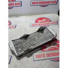 Radiador de agua Suzuki RM-Z250 - Envíos a toda España
