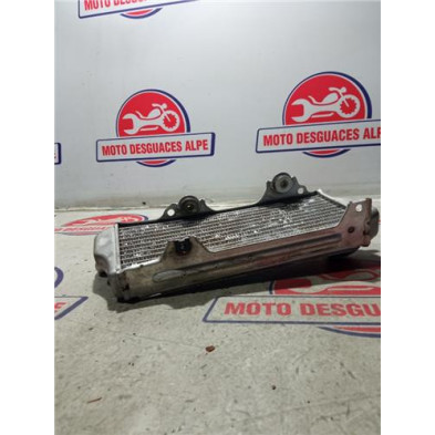 Radiador de agua Suzuki RM-Z250 - Envíos a toda España