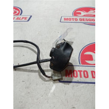 Piña luces izquierda BETA ark