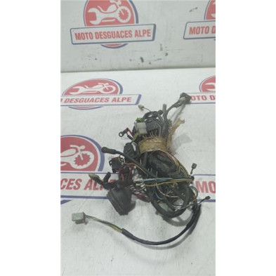 Instalacion electrica PEUGEOT satelis12506