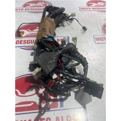 Instalacion electrica PEUGEOT satelis12506