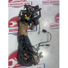 Instalacion electrica PEUGEOT satelis12506