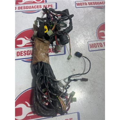 Instalacion electrica PEUGEOT satelis12506