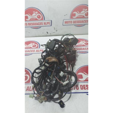 Instalacion electrica PEUGEOT satelis12506