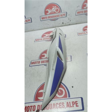 Carenado superior izquierdo SUZUKI GS500F