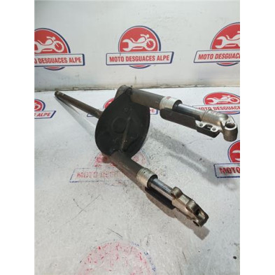 Horquilla completa PIAGGIO typhoon50