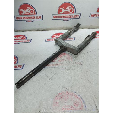 Horquilla completa PIAGGIO typhoon50