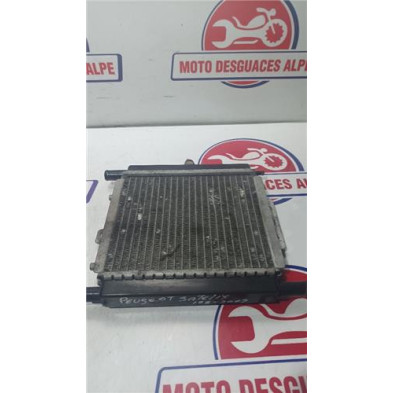 Radiador agua PEUGEOT satelis12506