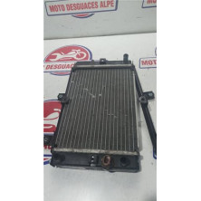 Radiador agua SYM joymax 300