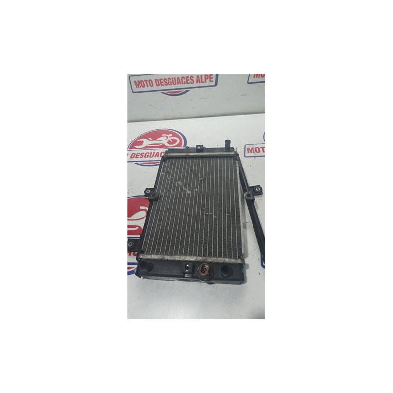 Radiador agua SYM joymax 300