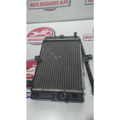 Radiador agua SYM joymax 300