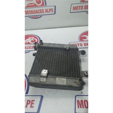 Radiador agua HONDA Pantheon125